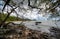 Rocky place under tree near the beach at Cairns Cape Tribulation Australia