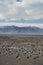 Rocky plains with small shrubs. Mountains in distance.