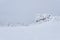 Rocky plateau covered with deep snow under a winter sky, cell towers are visible in the distance in the fog