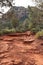 Rocky, red dirt, Devil\\\'s Bridge Trail lined with Manzanita and Cypress trees and bushes in Sedona, Arizona