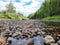 A rocky river bank near the forest.