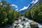 Rocky river landscape in rainforest, New Zealand