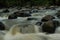 Rocky river stream of Kali Bojong, Salatiga, Central Java. Indonesia.