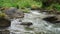 rocky river in a tropical forest area