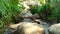 Rocky river in tropical forest. Large stones in rapid river in mountain forest. Wild natural landscape.