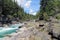 Rocky Riverbank in an Evergreen Forest