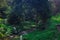 Rocky riverbank. Green meadows with bright juicy grass. Large boulders in a forest clearing near a stream.