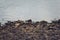 Rocky, rough shore of lake La Florida, in San Luis, Argentina, on a cold, dark day.