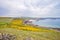 Rocky Sea Shore In Rhossili, Wales Coast Path