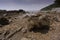 Rocky Seashore showing millions of years of erosion and weathering with dramatic textures shapes and silhouette