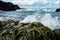Rocky seashore with waves at Port Macquarie Australia