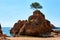 Rocky seaside of Mar Menuda Beach in Tossa de Mar. Costa Brava,