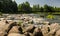 A rocky section of the Venta River on a sunny summer day, Mazeikiai, Lithuania