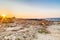 Rocky shore of the Apulian coast