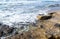 Rocky shore in Castelsardo on a sunny day