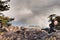 Rocky Shore With Distant Rainbow