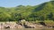 Rocky shore of the Mekong river. View from the boat. Laos