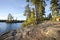 Rocky shore with pine trees on a Boundary Waters lake in Minneso