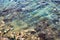 Rocky shore of sea with waves, green seaweed and mossy on stones in sea. Top view of seascape.