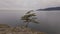 Rocky Shore on West Coast, Pacific Ocean. Cloudy Fall Season. West Vancouver, BC Canada.