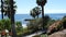 Rocky shoreline with gardens at a tropical resort