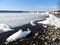 Rocky shoreline of ice and snow on Cayuga