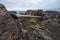 Rocky Shoreline, Vancouver Island