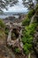 Rocky Shoreline, Vancouver Island