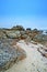 Rocky shores of the Western Cape. Rocky shoreline in the Western Cape, South Africa - close up.