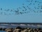 Rocky silhouettes in the foreground and flying bird silhouettes in the background