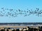 Rocky silhouettes in the foreground and flying bird silhouettes in the background