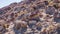 Rocky slopes with Hoodoos.