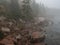 Rocky steep shore of the ocean and pine trees on the shore in the fog. Atlantic Ocean. USA. Maine.