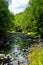 Rocky Stream Bed Passing Through Forested Wilderness Near Saranac Lake NY USA in the Adirondack State Park