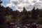 Rocky stream with greenery, city of Breckenridge Colorado USA