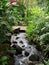 Rocky Stream Through Lush Tropical Setting