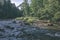 rocky stream of river deep in forest in summer green weather with sandstone cliffs and old dry wood trunks. Amata river in Latvia