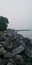 Rocky Summer Shoreline off Lake Michigan