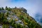 Rocky summit and fog, at Grandfather Mountain, North Carolina.