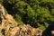 Rocky surface of hills in pine forest near Kemer, Turkey, view f