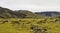 Rocky terrain of Iceland.