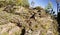 A rocky terrain with sparse growth of greenery over it