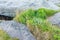 Rocky terrain and vegetation on the island Mageroya, Norway