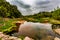 A Rocky Texas Creek.