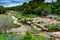 A Rocky Texas Creek with WIldflowers.