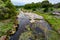 A Rocky Texas Creek with WIldflowers.