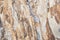 Rocky textures in Neutral Colors with Streaks of Rust