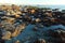 Rocky tide pools in San Simeon, California, near Hearst Castle, USA