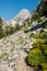Rocky Trail Through Garnet Canyon Headed Toward Middle Teton