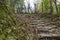 Rocky trekking pathway at Mardi Himal trek